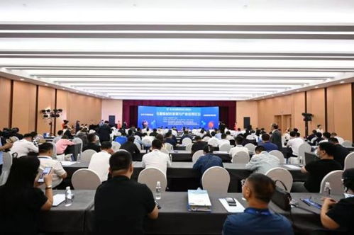 200余名中外專家共話石墨新材料與集成電路芯片設計及服務協同發展新圖景